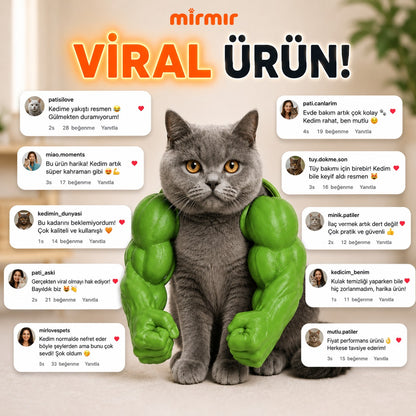 MIRMIR™ - Kaslı Patiler